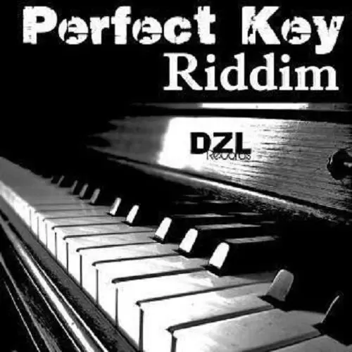 Perfect Key Riddim – Dzl Records
