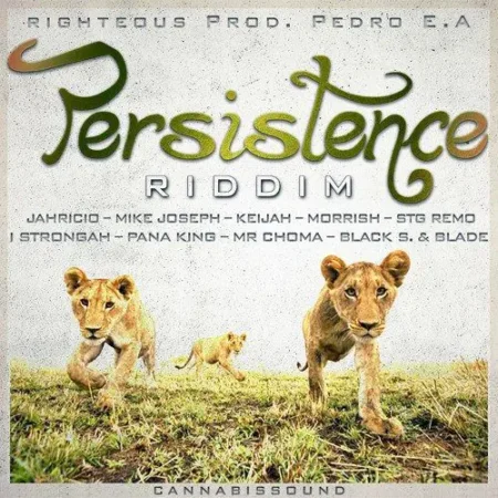 Persistence Riddim - Righteous Produz And Pedro E.a