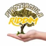 Piantiamola Riddim – Love University Records