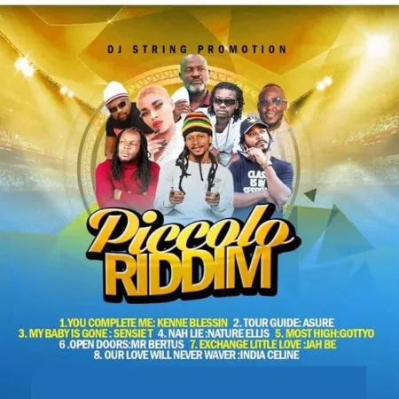 piccolo riddim - dj string promotion