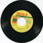 Pick Up The Pieces Riddim (1993) – Digital B
