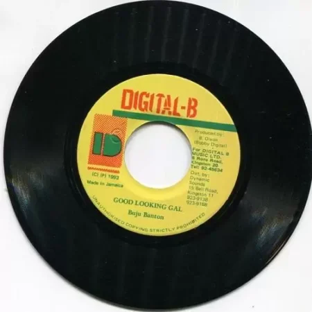 Pick Up The Pieces Riddim - Digital B