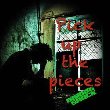 pick up the pieces riddim - stingray records