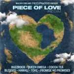 Piece Of Love Riddim – Walshy Fire And The Expanders