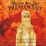 Pillars Of Salt Riddim – Siodemki Records