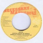 Pirates Riddim (2008) – Necessary Mayhem