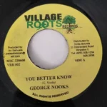 Plastic Smile Riddim – Village Roots Records