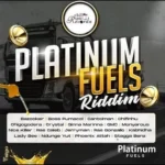 Platinum Fuels Riddim – Chillspot Records