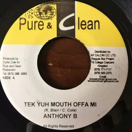 Platinum Riddim – Pure And Clean Records platinum riddim - pure and clean records