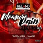 Pleasure With Pain Riddim – Ireland Records
