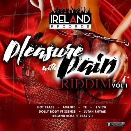 pleasure with pain riddim - ireland records