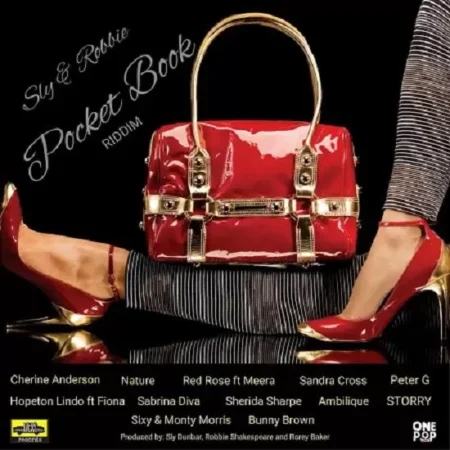 pocket-book-riddim