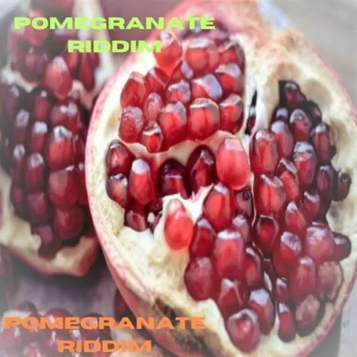 pomegranate riddim - supatech records