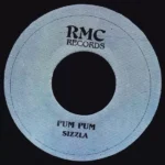 Pon DE River Pon DE Bank Riddim Remixes – Rmc Records 2003