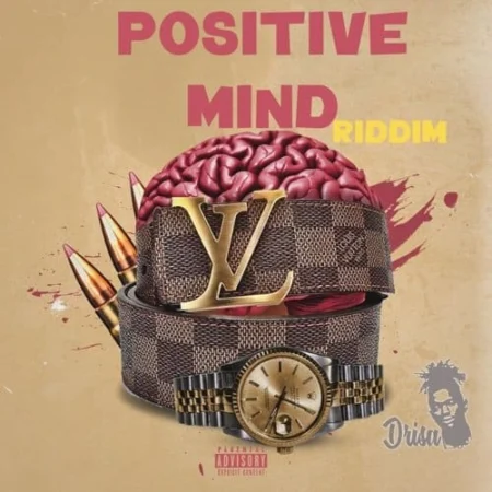 positive mind riddim - drisa beatz