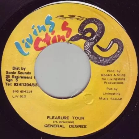 Pot Of Gold Riddim – Living Sting Records pot of gold riddim - living sting records