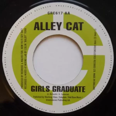 Power Train Riddim – Greensleeves Records power train riddim - greensleeves records 