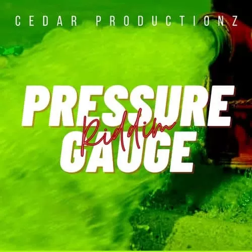 pressure gauge riddim - cedar productionz