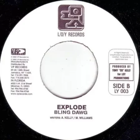 Pretty Please Riddim – Loy Records pretty please riddim - loy records