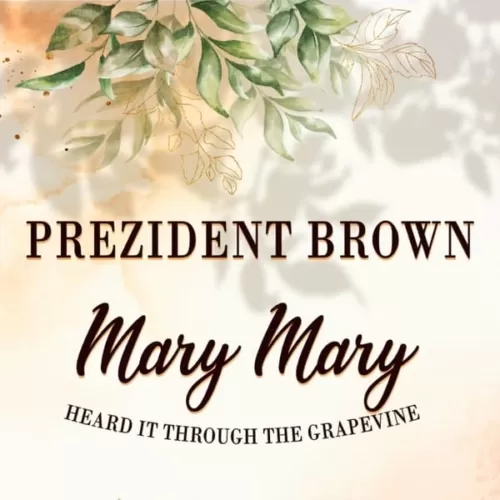 prezident brown - mary mary (heard it through the grapevine)