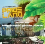 Pride Land Riddim – Jah Wayne Records