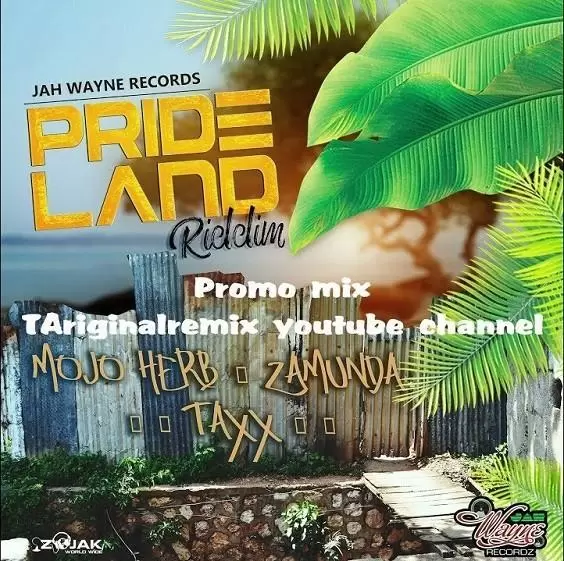 pride land riddim - jah wayne records