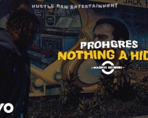 Prohgres Nothing A Hide