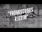 Promiscuous Riddim – Zj Diamond