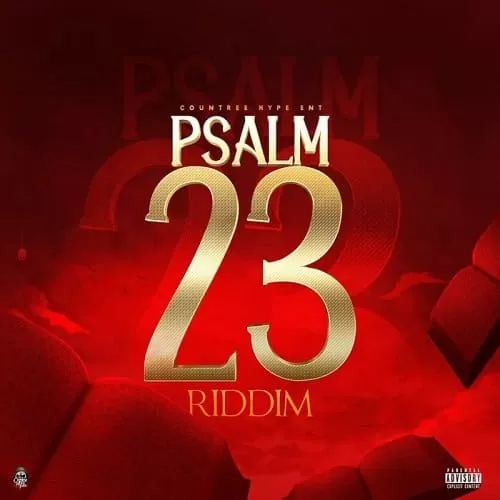 psalm 23 riddim - countree hype