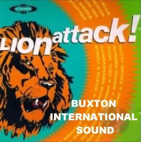 Punaany Aka Lion Attack Riddim - Steely And Clevie
