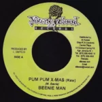 Punaany Riddim – Young Blood Records