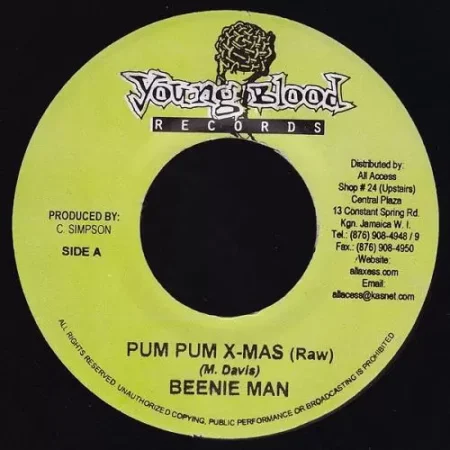 punaany riddim - young blood records