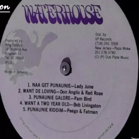 punaunie riddim - waterhouse