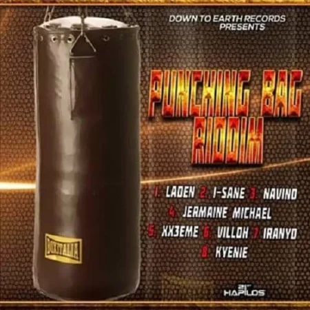 punching bag riddim - down to earth records