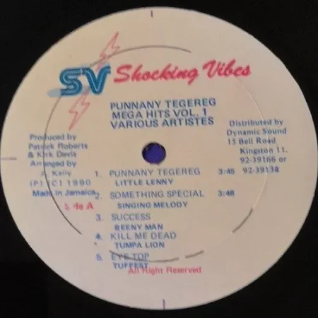 punnany tegereg - shocking vibes