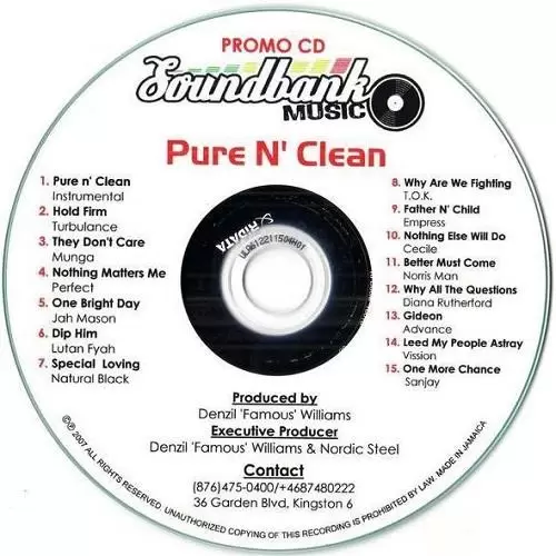 pure and clean riddim - soundbank music