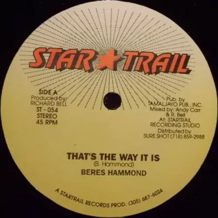 Purify Riddim – Star Trail purify riddim - star trail