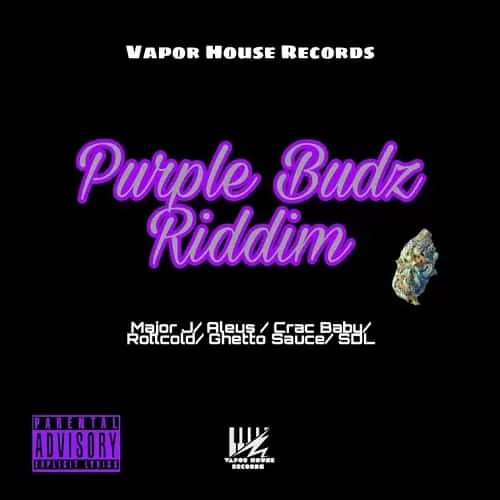 purple budz riddim - vapor house records