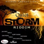 Quiet Storm Riddim (2016) – Deemus Prods