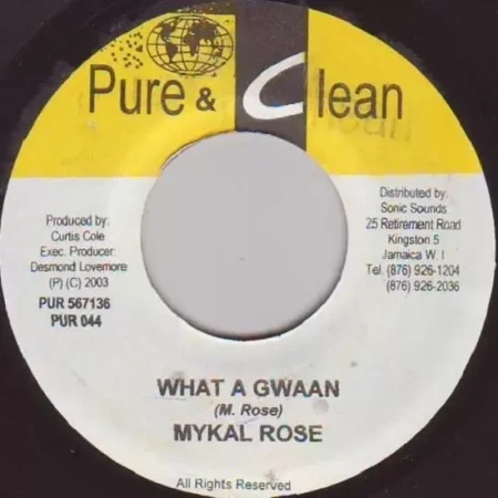 racketeering riddim - pure and clean