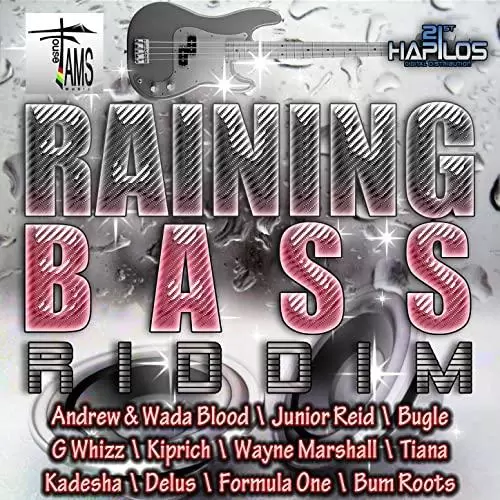 raining bass riddim - fams house music