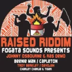 Raised Riddim – Krak In Dub