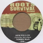 Ras In Riddim – Roots Survival Records