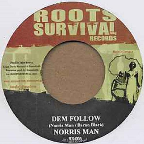 ras in riddim - roots survival records