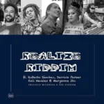 Realize Riddim (2021) – Heavy Vibez Records