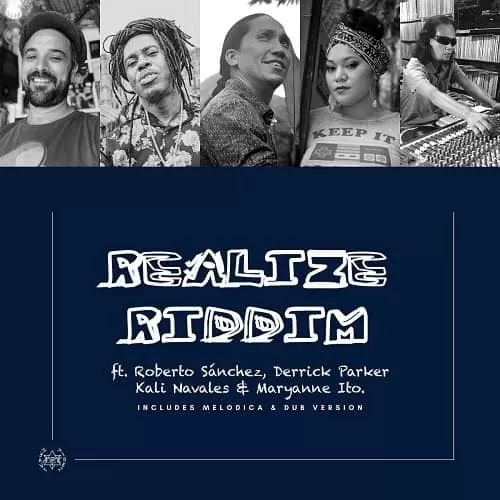 realize riddim - heavy vibez records