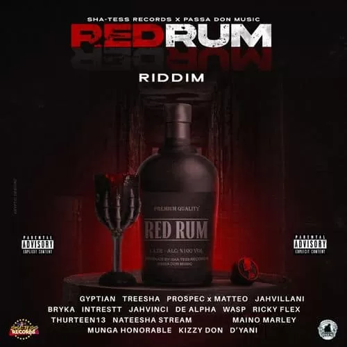 redrum riddim - sha-tess records / passa don music