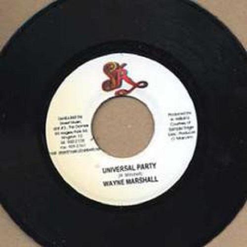 reggae night riddim - sample rage productions