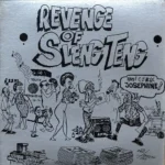 Revenge Of Slengteng Riddim – Youth Promotion