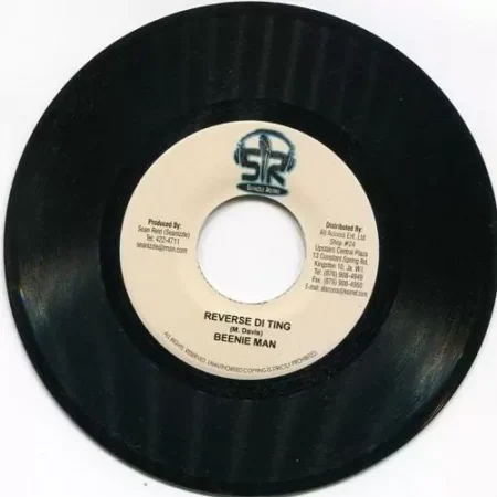 Reverse Riddim – Seanizzle Records reverse riddim - seanizzle records
